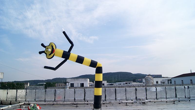 蜜蜂舞星